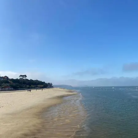 De 21m2 Au Moulleau A 20 M De La Appartement