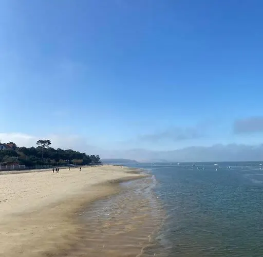 De 21m2 Au Moulleau A 20 M De La Apartment